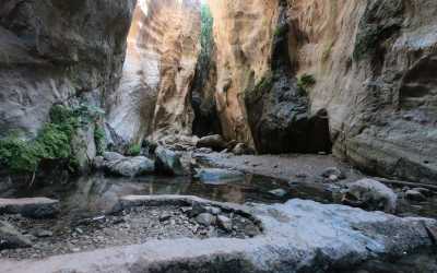 Wycieczka Akamas Tour z Larnaki